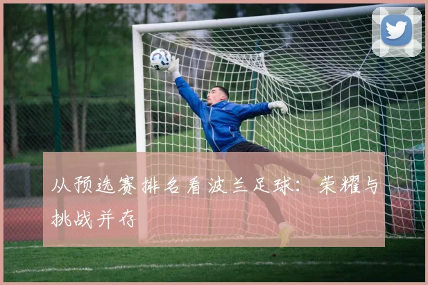 从预选赛排名看波兰足球：荣耀与挑战并存