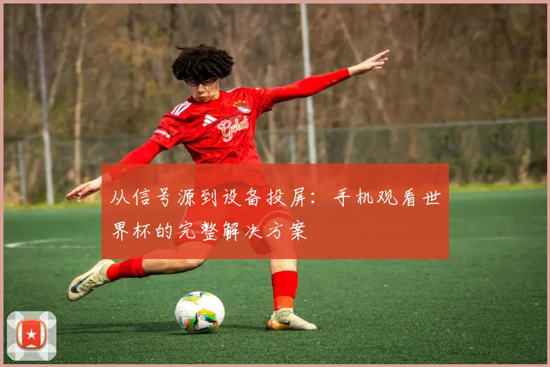 从信号源到设备投屏：手机观看世界杯的完整解决方案